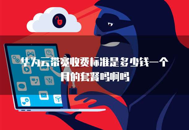 华为云带宽收费标准是多少钱一个月的套餐吗啊吗