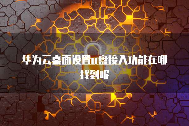 华为云桌面设置u盘接入功能在哪找到呢