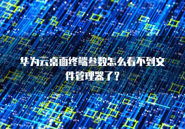 华为云桌面终端参数怎么看不到文件管理器了?