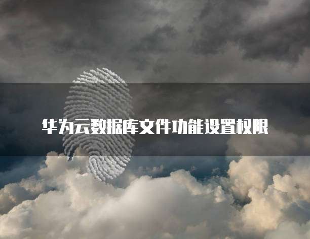 华为云数据库文件功能设置权限