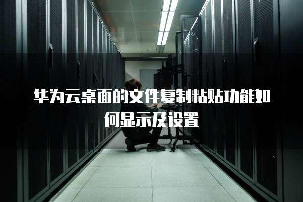华为云桌面的文件复制粘贴功能如何显示及设置