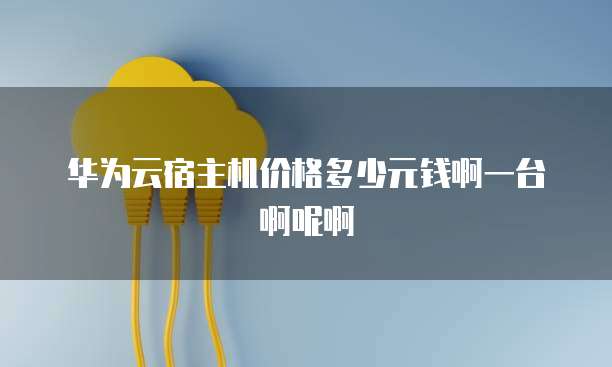 华为云宿主机价格多少元钱啊一台啊呢啊