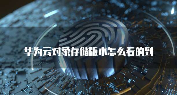 华为云对象存储版本怎么看的到