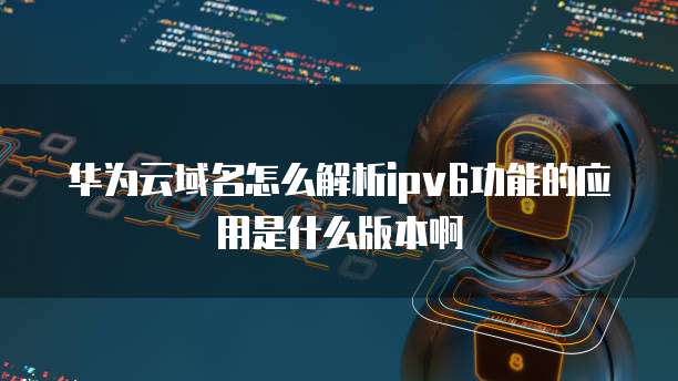 华为云域名怎么解析ipv6功能的应用是什么版本啊