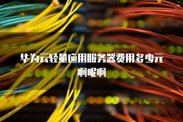华为云轻量应用服务器费用多少元啊呢啊