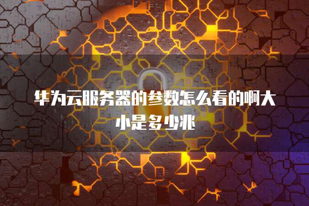 华为云服务器的参数怎么看的啊大小是多少兆