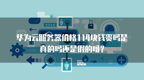 华为云服务器价格114块钱贵吗是真的吗还是假的呀?