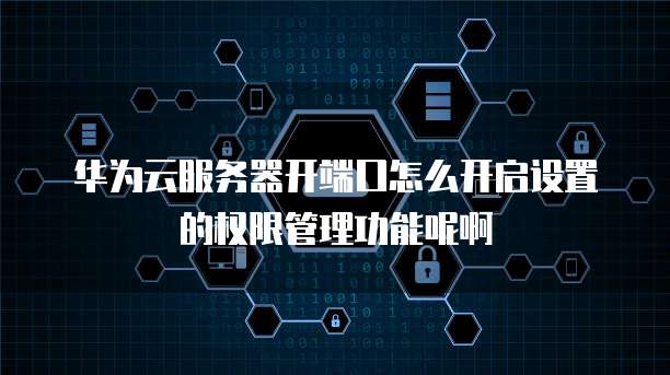 华为云服务器开端口怎么开启设置的权限管理功能呢啊