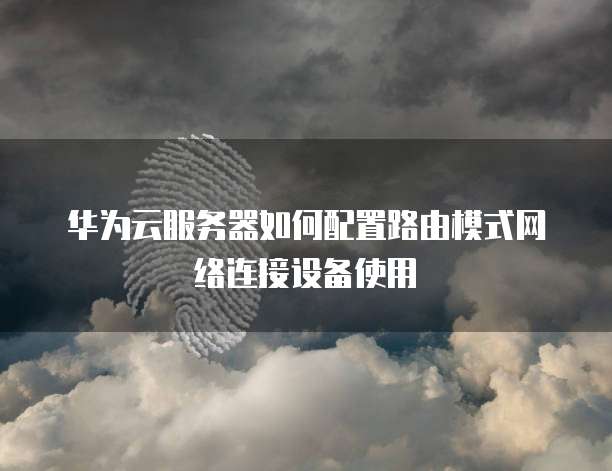 华为云服务器如何配置路由模式网络连接设备使用