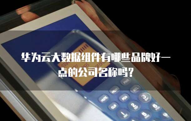 华为云大数据组件有哪些品牌好一点的公司名称吗?