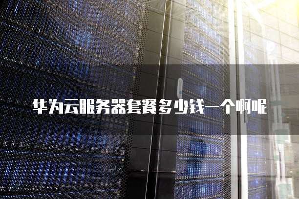 华为云服务器套餐多少钱一个啊呢