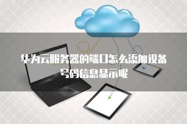 华为云服务器的端口怎么添加设备号码信息显示呢