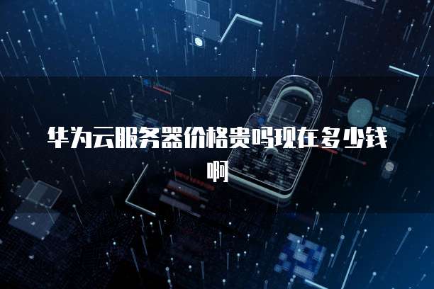 华为云服务器价格贵吗现在多少钱啊