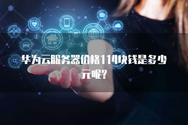 华为云服务器价格114块钱是多少元呢?