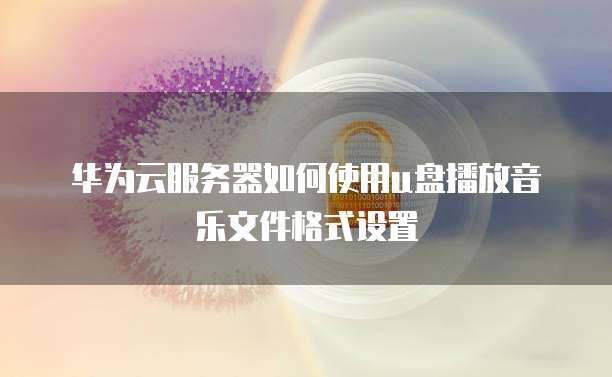 华为云服务器如何使用u盘播放音乐文件格式设置
