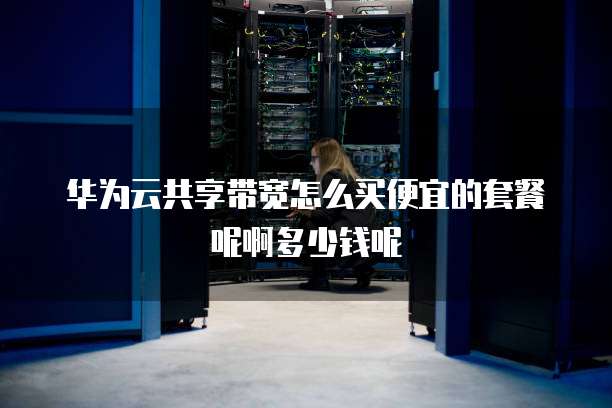 华为云共享带宽怎么买便宜的套餐呢啊多少钱呢
