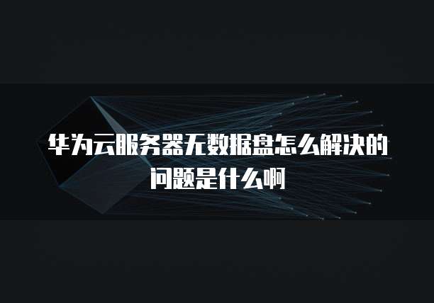 华为云服务器无数据盘怎么解决的问题是什么啊