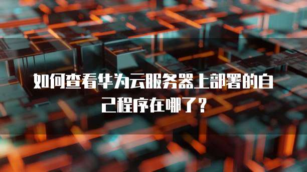 如何查看华为云服务器上部署的自己程序在哪了?
