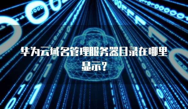 华为云域名管理服务器目录在哪里显示?