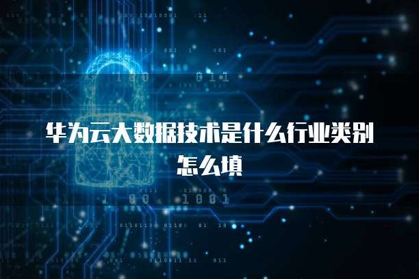 华为云大数据技术是什么行业类别怎么填
