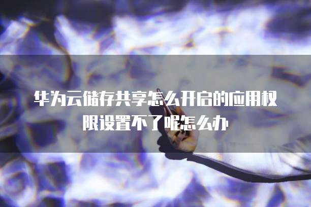 华为云储存共享怎么开启的应用权限设置不了呢怎么办