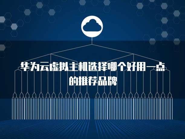 华为云虚拟主机选择哪个好用一点的推荐品牌