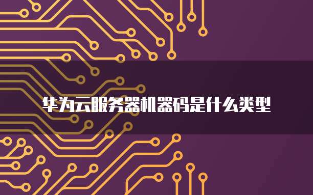 华为云服务器机器码是什么类型