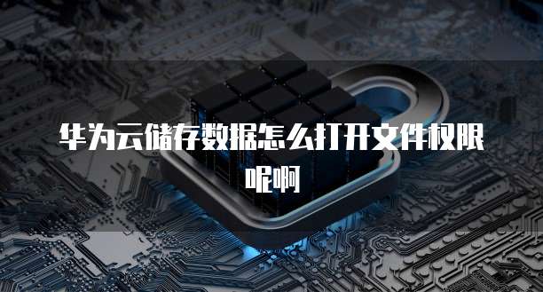 华为云储存数据怎么打开文件权限呢啊