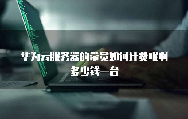 华为云服务器的带宽如何计费呢啊多少钱一台