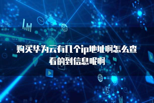 购买华为云有几个ip地址啊怎么查看的到信息呢啊