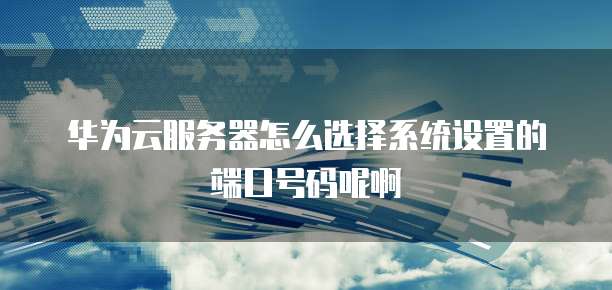 华为云服务器怎么选择系统设置的端口号码呢啊