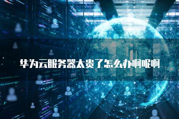 华为云服务器太贵了怎么办啊呢啊