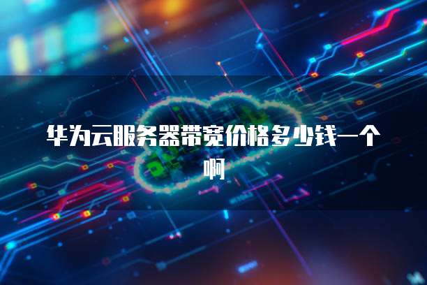 华为云服务器带宽价格多少钱一个啊