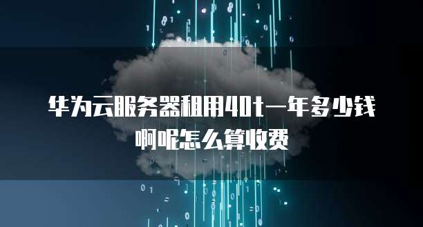华为云服务器租用40t一年多少钱啊呢怎么算收费