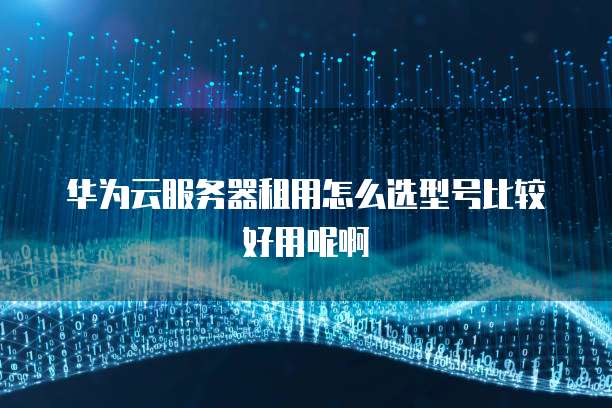 华为云服务器租用怎么选型号比较好用呢啊