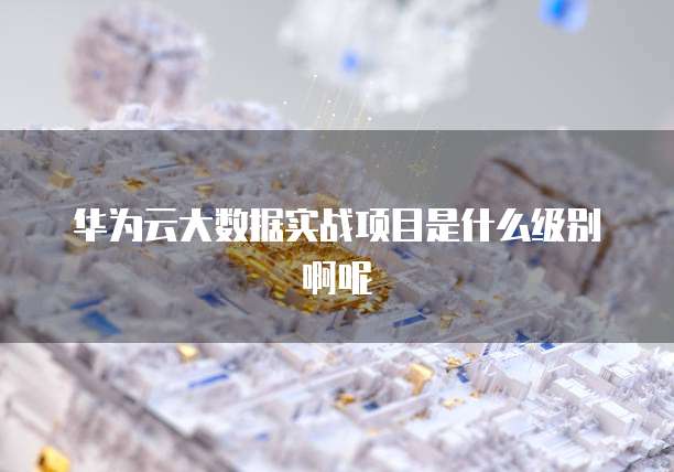 华为云大数据实战项目是什么级别啊呢