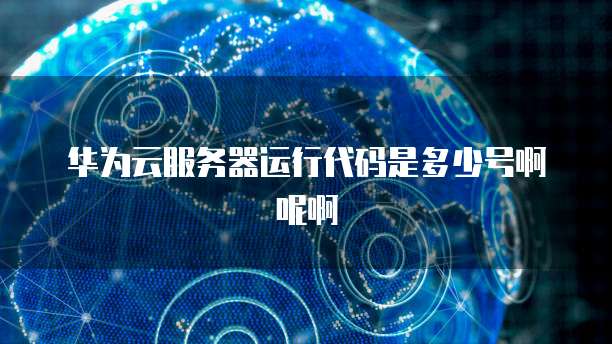 华为云服务器运行代码是多少号啊呢啊