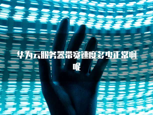 华为云服务器带宽速度多少正常啊呢