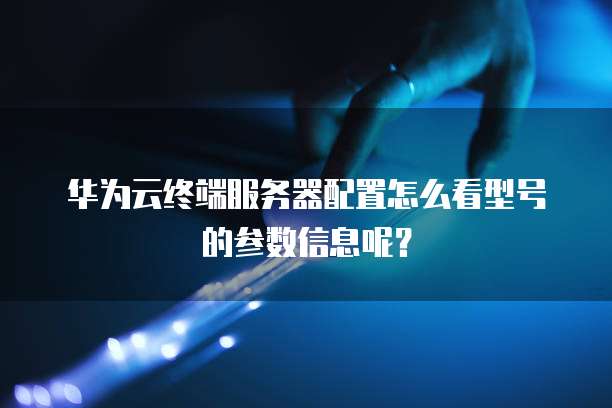 华为云终端服务器配置怎么看型号的参数信息呢?