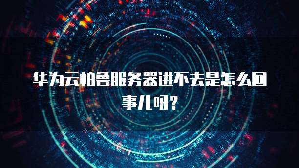 华为云帕鲁服务器进不去是怎么回事儿呀?