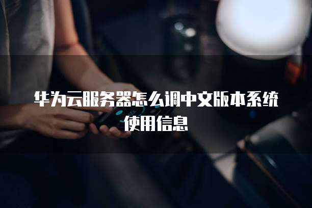 华为云服务器怎么调中文版本系统使用信息