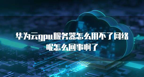 华为云gpu服务器怎么用不了网络呢怎么回事啊了