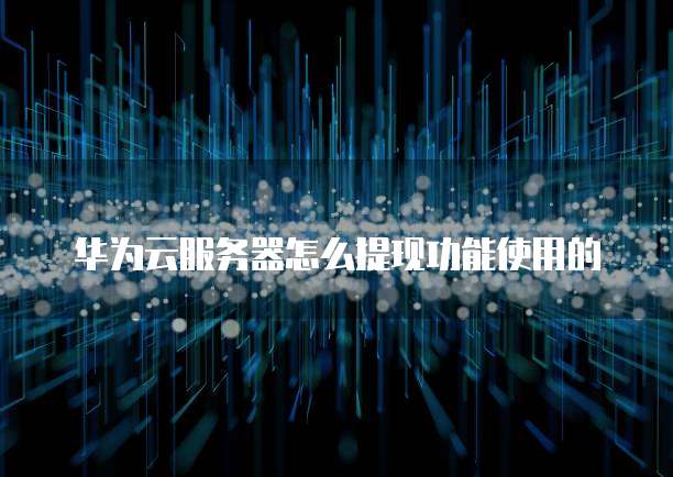 华为云服务器怎么提现功能使用的