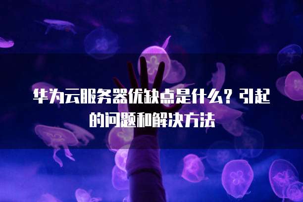 华为云服务器优缺点是什么?引起的问题和解决方法