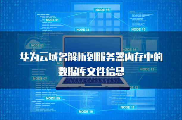 华为云域名解析到服务器内存中的数据库文件信息