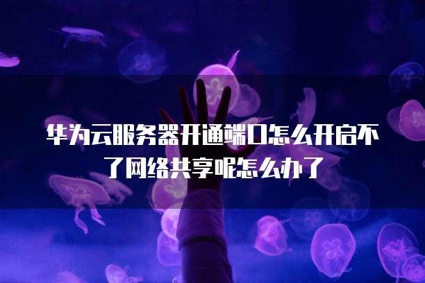 华为云服务器开通端口怎么开启不了网络共享呢怎么办了