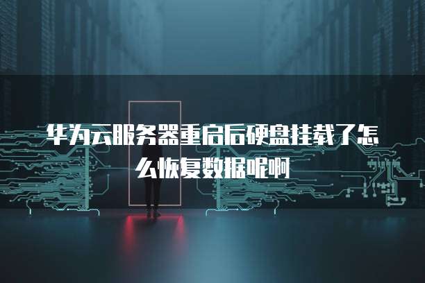 华为云服务器重启后硬盘挂载了怎么恢复数据呢啊