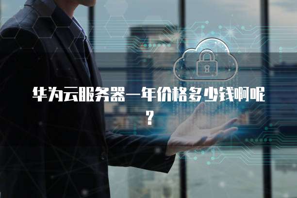 华为云服务器一年价格多少钱啊呢?