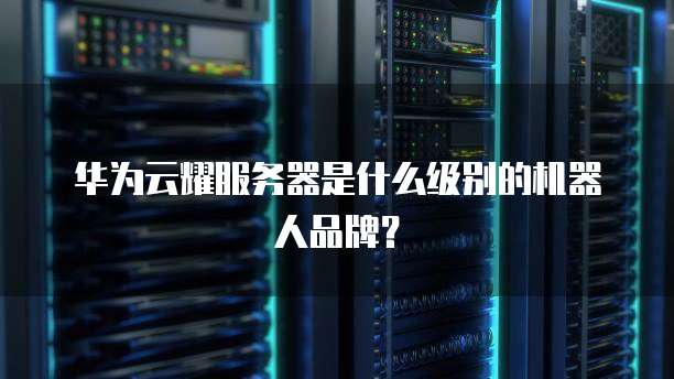 华为云耀服务器是什么级别的机器人品牌？