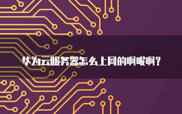 华为云服务器怎么上网的啊呢啊?